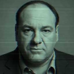 Depiction of human, 'James Gandolfini'